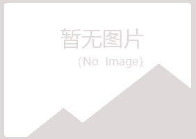 文山安雁化学有限公司